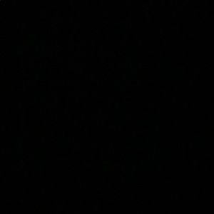 Meet your Posher, Ty